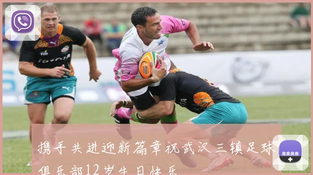 携手共进迎新篇章祝武汉三镇足球俱乐部12岁生日快乐