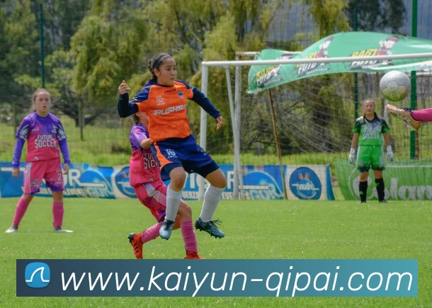 开云棋牌官网服务体系